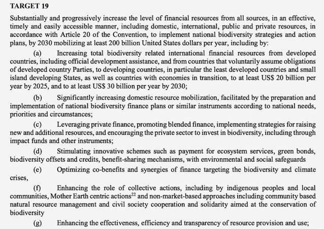 Cop-15-documento-onu-accordo-sulla-biodiversità
