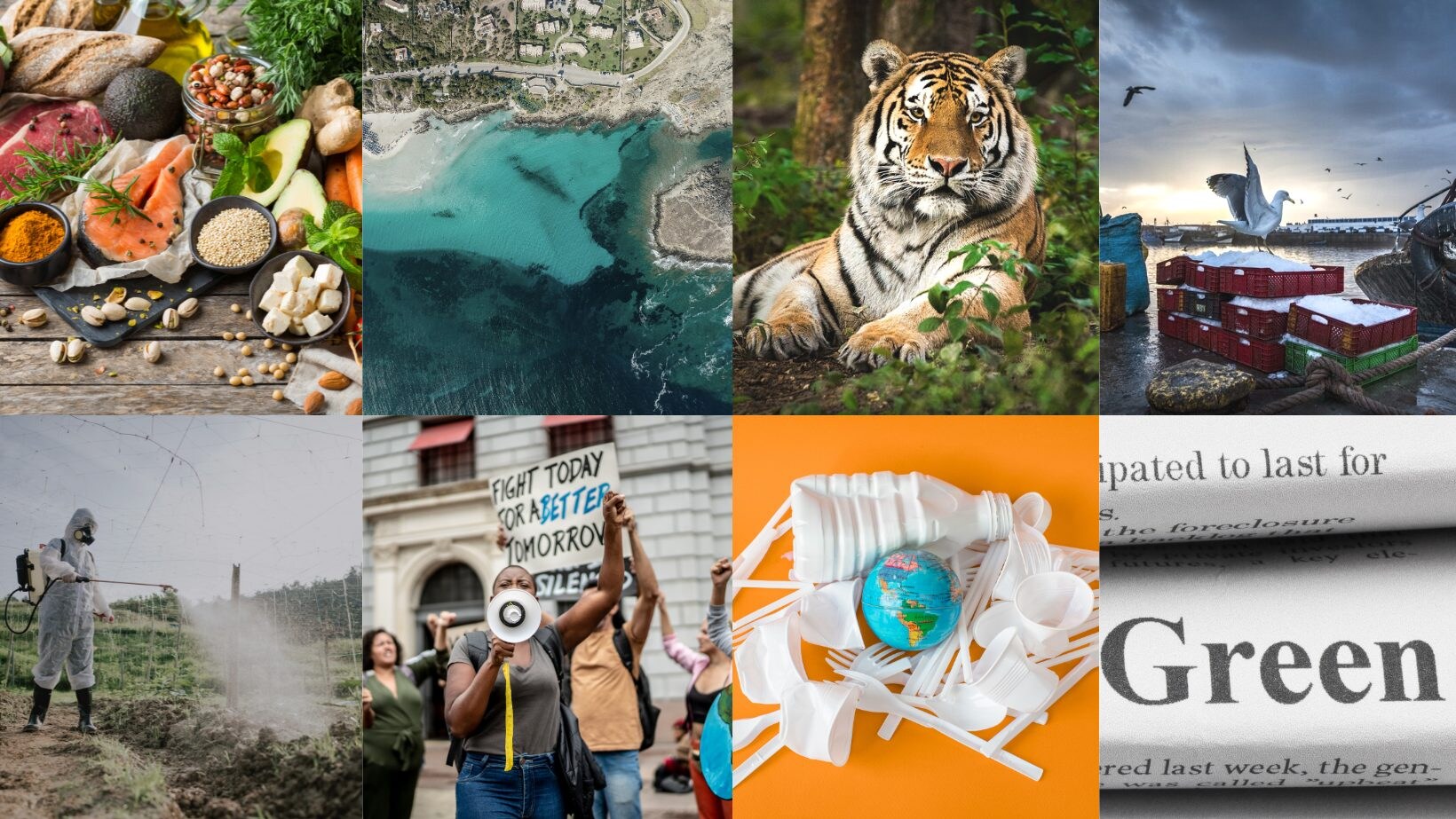notizie-positive-ambiente-buone-notizie-green-terra-news-ecologia-cambiamento-climatico-greenhope