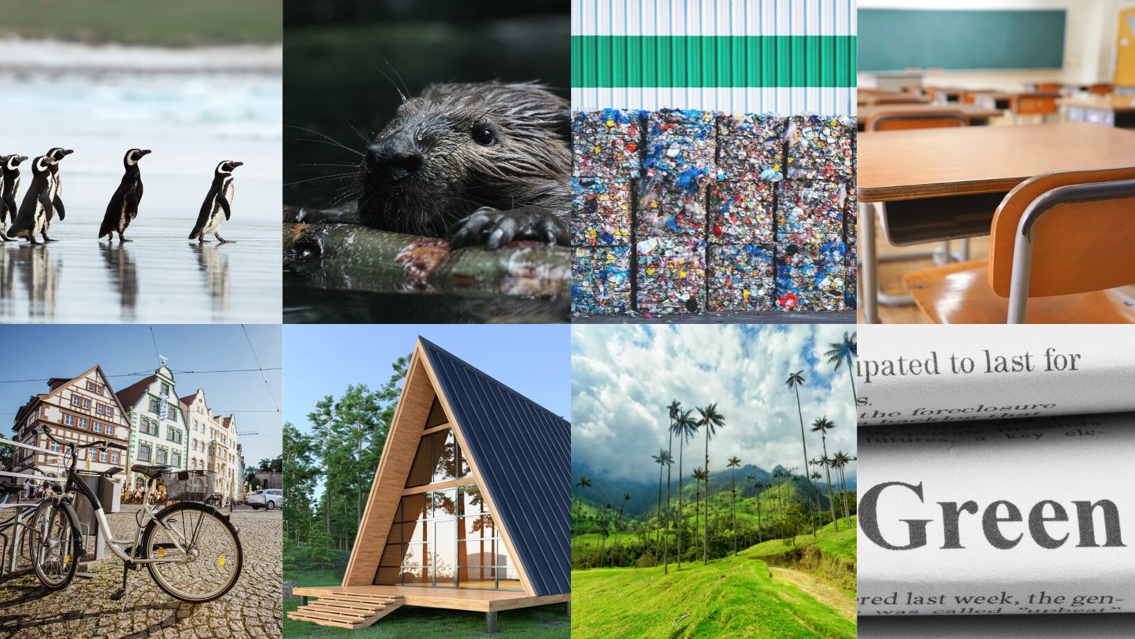 greenhope-ambiente-terra-clima-green-sostenibilità-buone-notizie-settimana