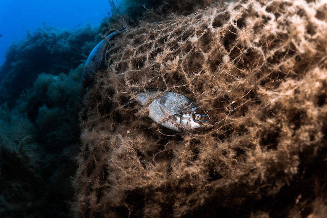 Missione-Euridice-Marco-Spinelli-Andrea-Spinelli-Golfo-Cefalù-Sicilia-pesci-reti-fantasma-inquinamento-marino-Sicilia-biologo-marino-biodiversità-marina-mar-mediterranneo-rifiuti-nature