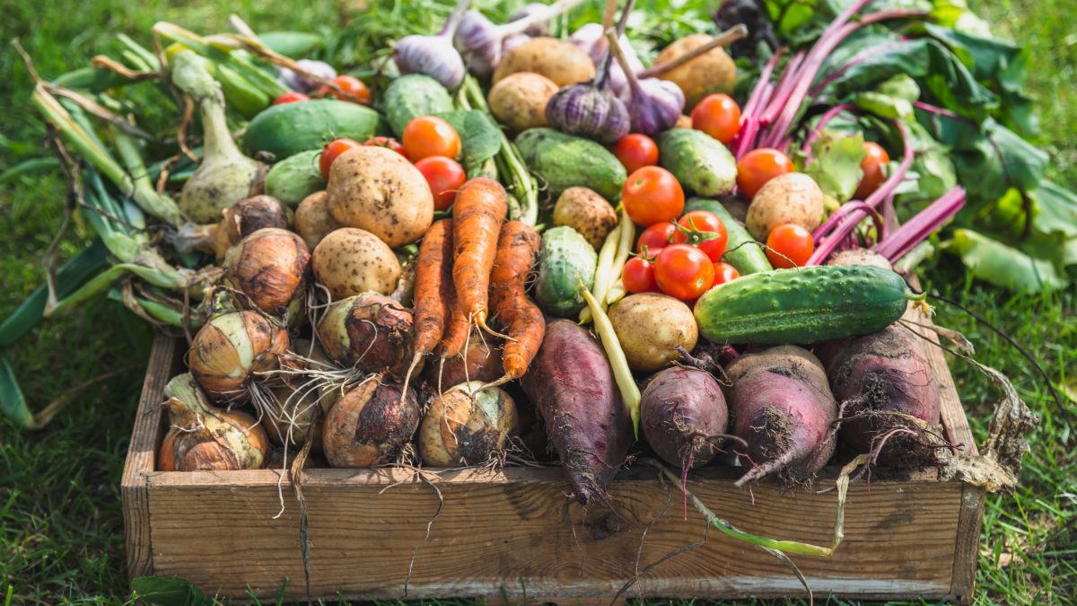 Germania-iva-frutta-verdura
