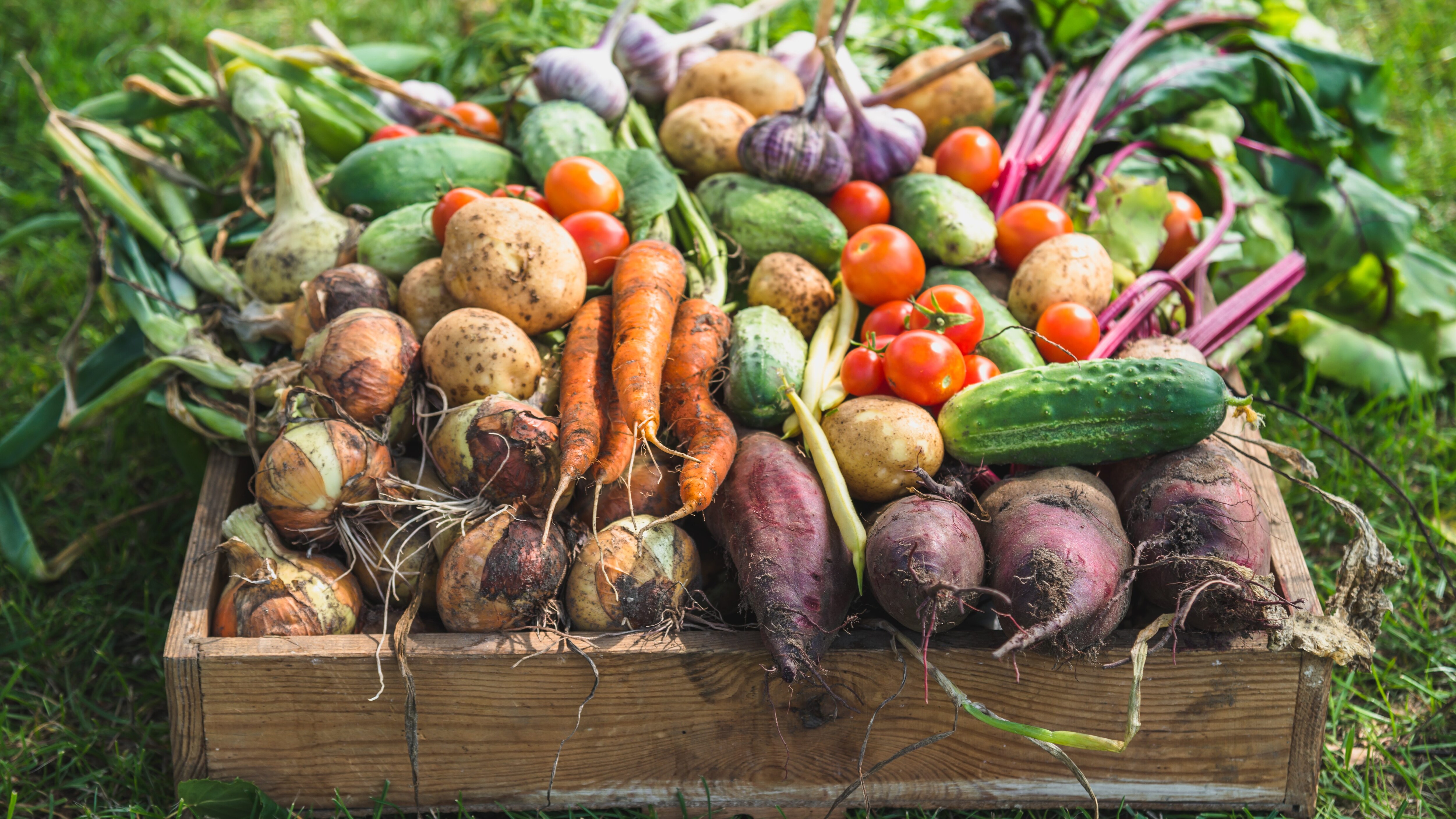 Germania-iva-frutta-verdura