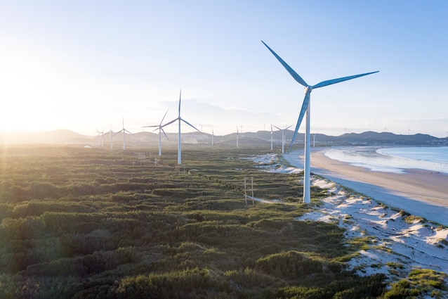 notizie-positive-ambiente-buone-notizie-green-terra-news-ecologia-cambiamento-climatico-lazio-regione-transizione-ecologica