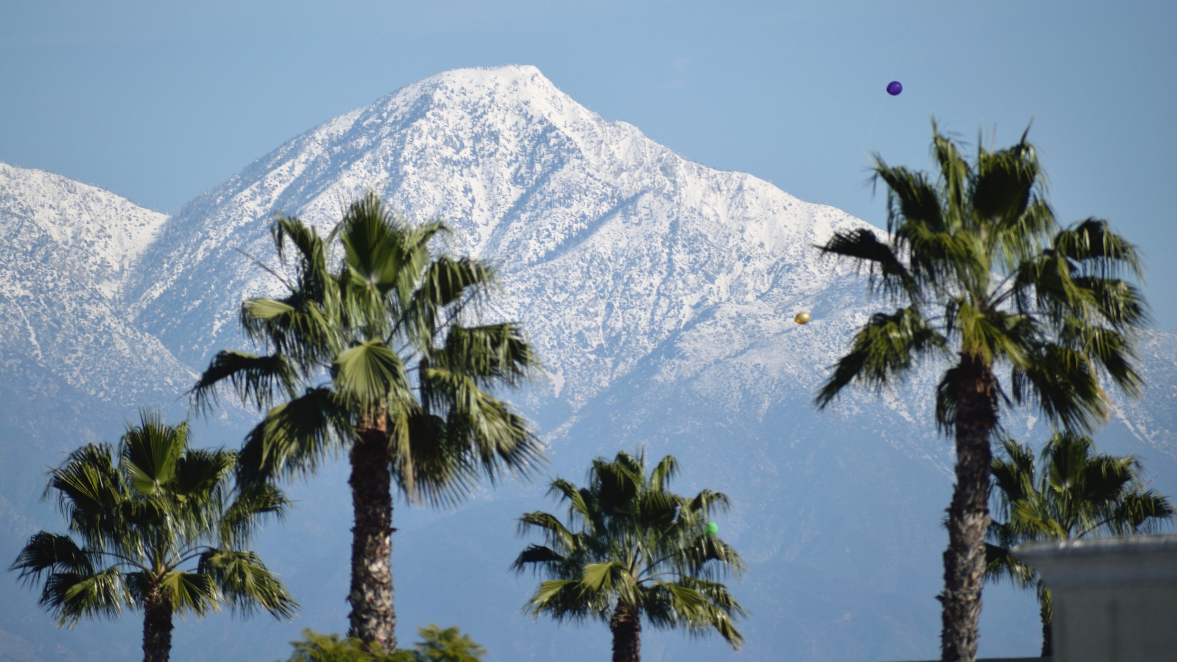 neve in California