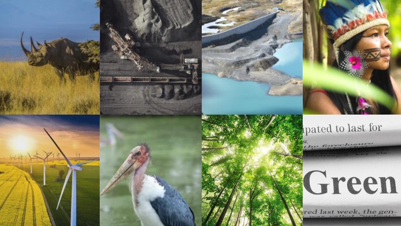 greenhope-clima-ambiente-notizie-buone-news