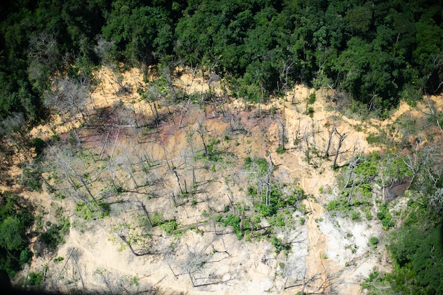 yanomami-brasile-popolo-indigeno-storia-curiosità-notizie-lula-presidente-brasile-cercatori-oro-terre-amazzonia-foreste