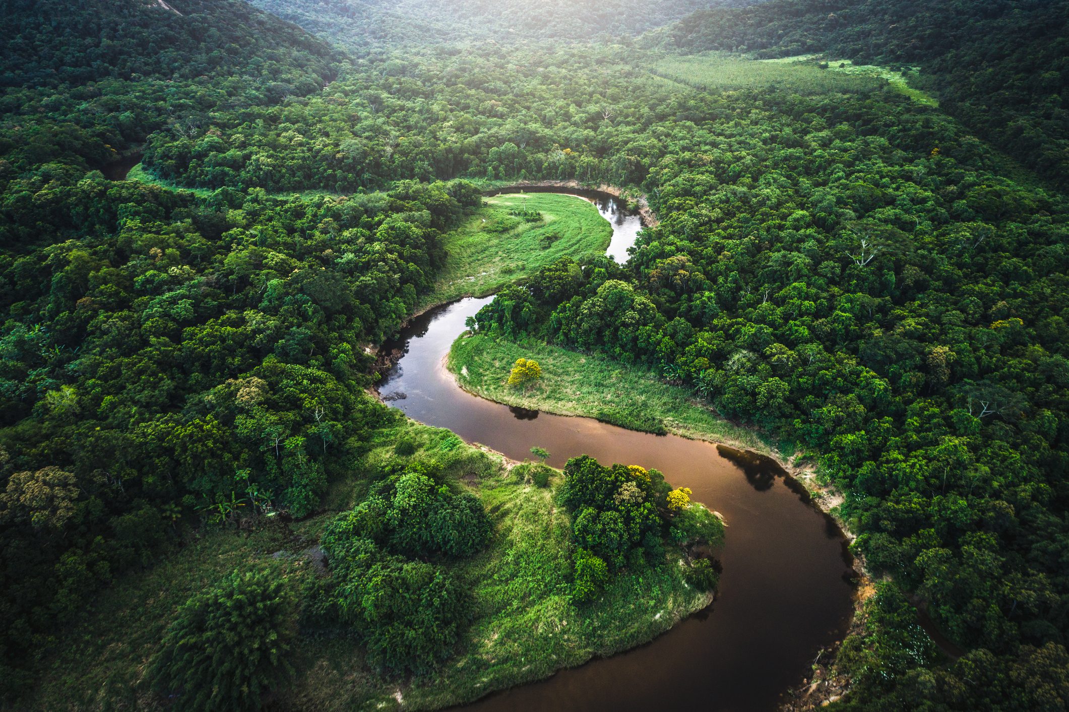 foresta atlantica brasile