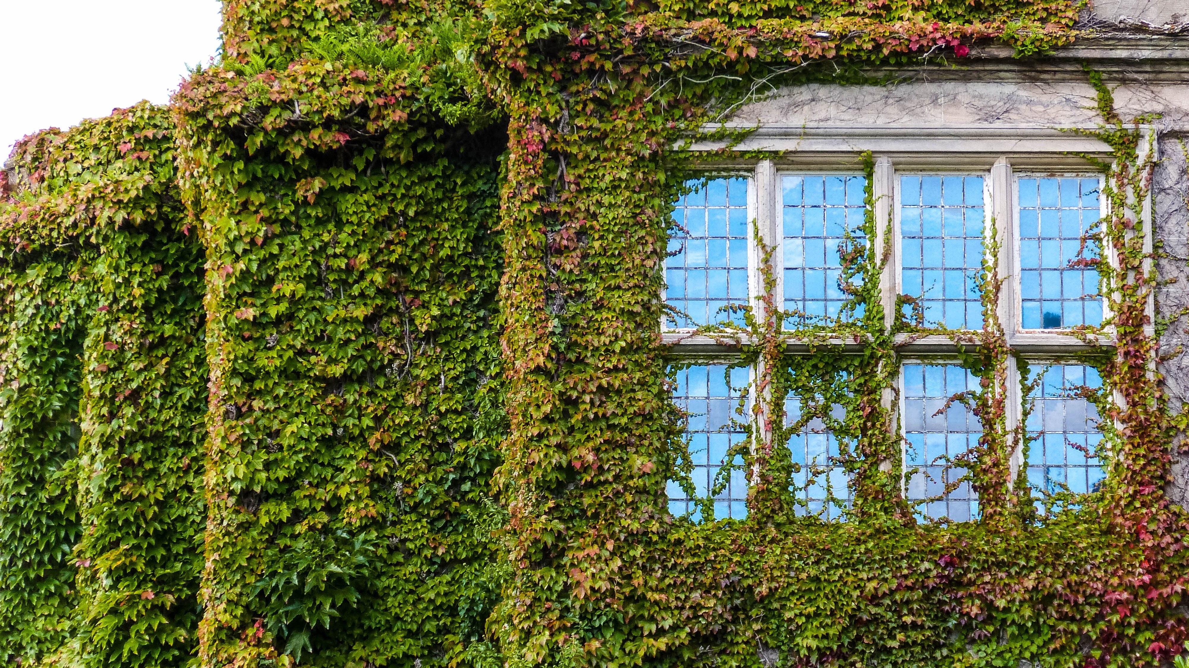 case-green-europa-classi-energetiche