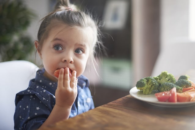 Edimburgo plant based treaty