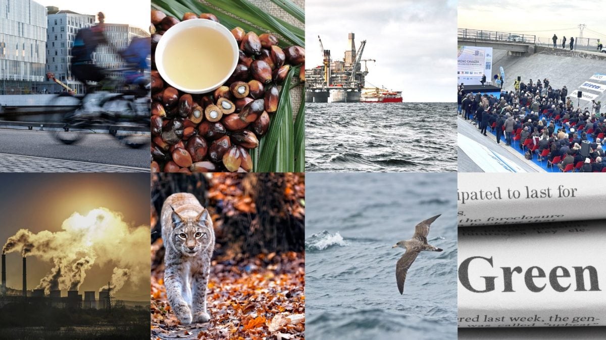 buone-notizie-ambiente-terra-pianeta