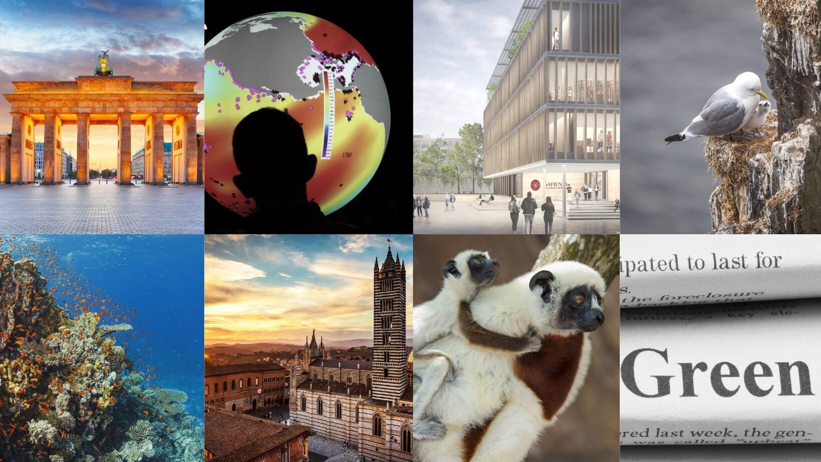 ambiente-buone-notizie-della-settimana