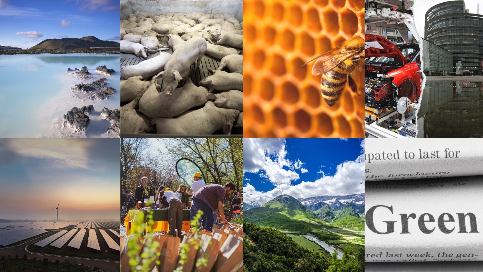greenhope-ambiente-terra-clima-green-sostenibilità-buone-notizie-settimana