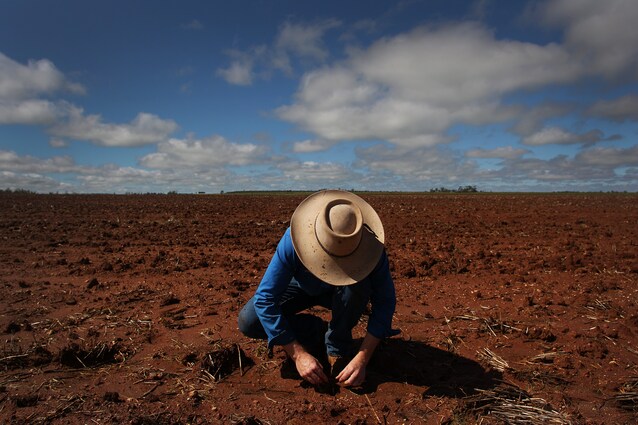 colture-coperte-pac-2023-2027-europa-piano-agrcoltura-comune-europeo
