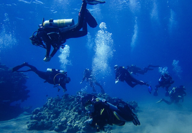 oceani-trattato-biodiversità-pesci-2030-30%