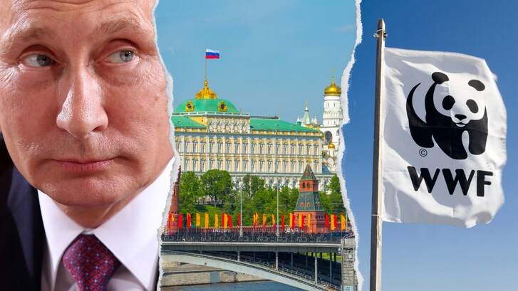 putin-wwf-mosca-russa-russia