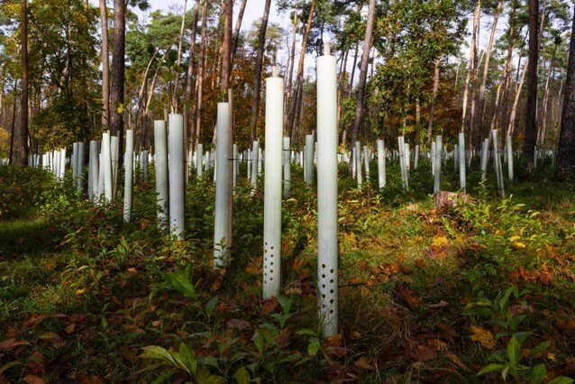 green-hope-buone-notizie-terra-ambiente-news-recenti-ultime-positive