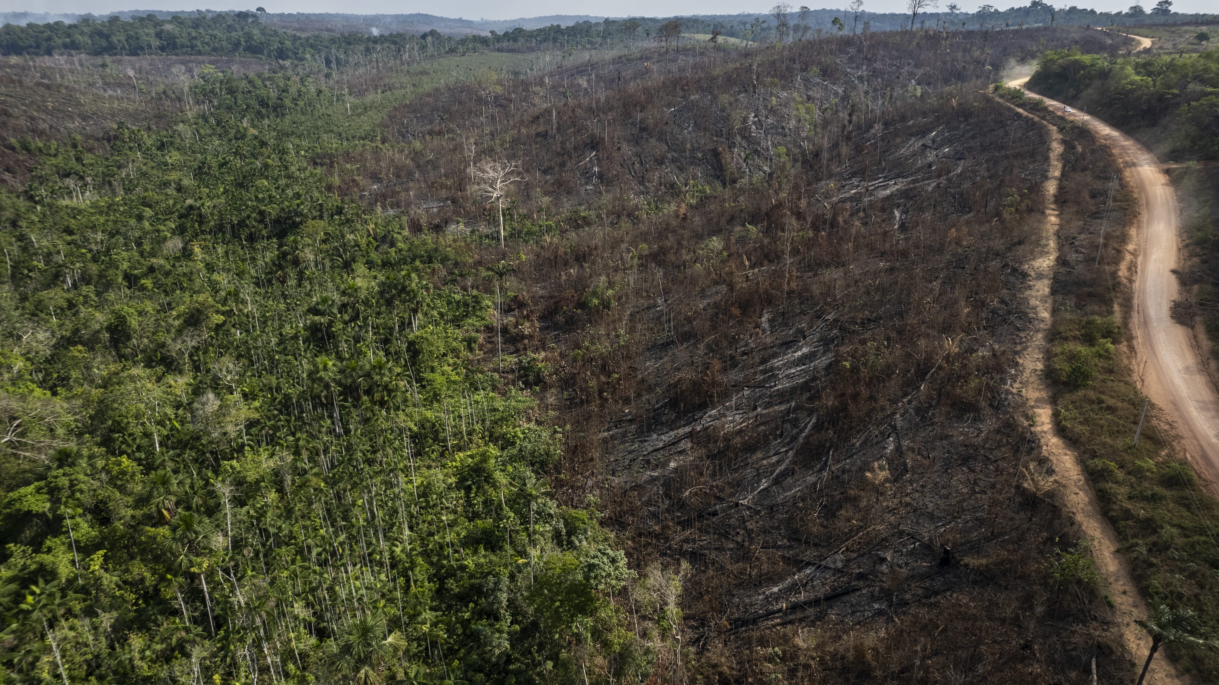 deforestazione-compensazione-emissioni-CO2-crediti-carbonio-crea