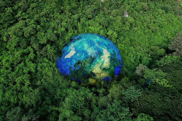 giornata-internazionatel-foreste-cambiamento-climatico-deforestazione-ambiente-alberi-piante-verde