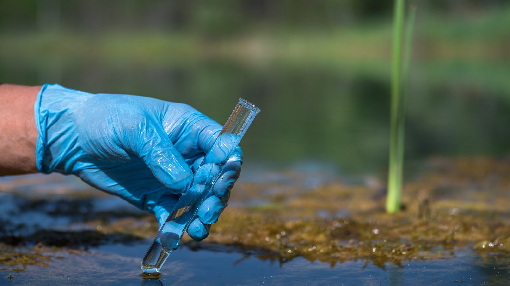 Pfas in Veneto
