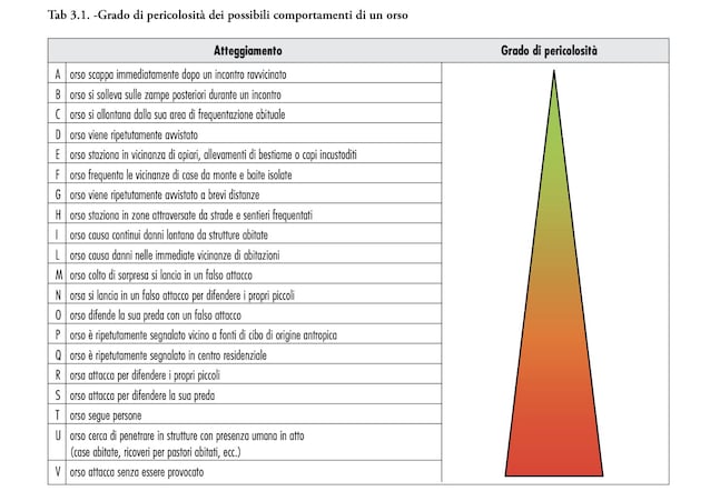 pacobace-ispra-orsi-jj4-m62-mj5-trentino-trento-abbattimento-rimozione-runner-papi-fugatti-lav