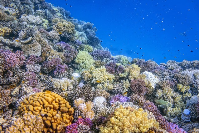 news-notizie-buone-positive-ultime-recenti-della-settimana-ambiente-sostenibilità-natura-green-mobilità