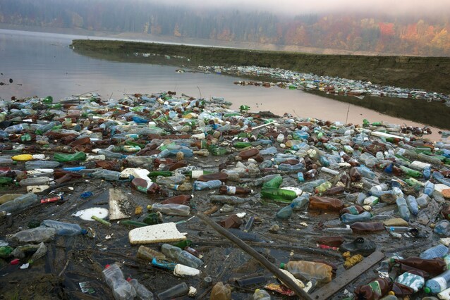 greenhope-buone-notizie-ambiente-natura-green-ecocidio-parlamento-europeo