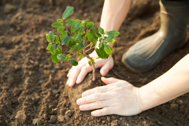gas-rinnovabili-produzione-padova-greenhope-terra-ambiente-green-notizie-settimana