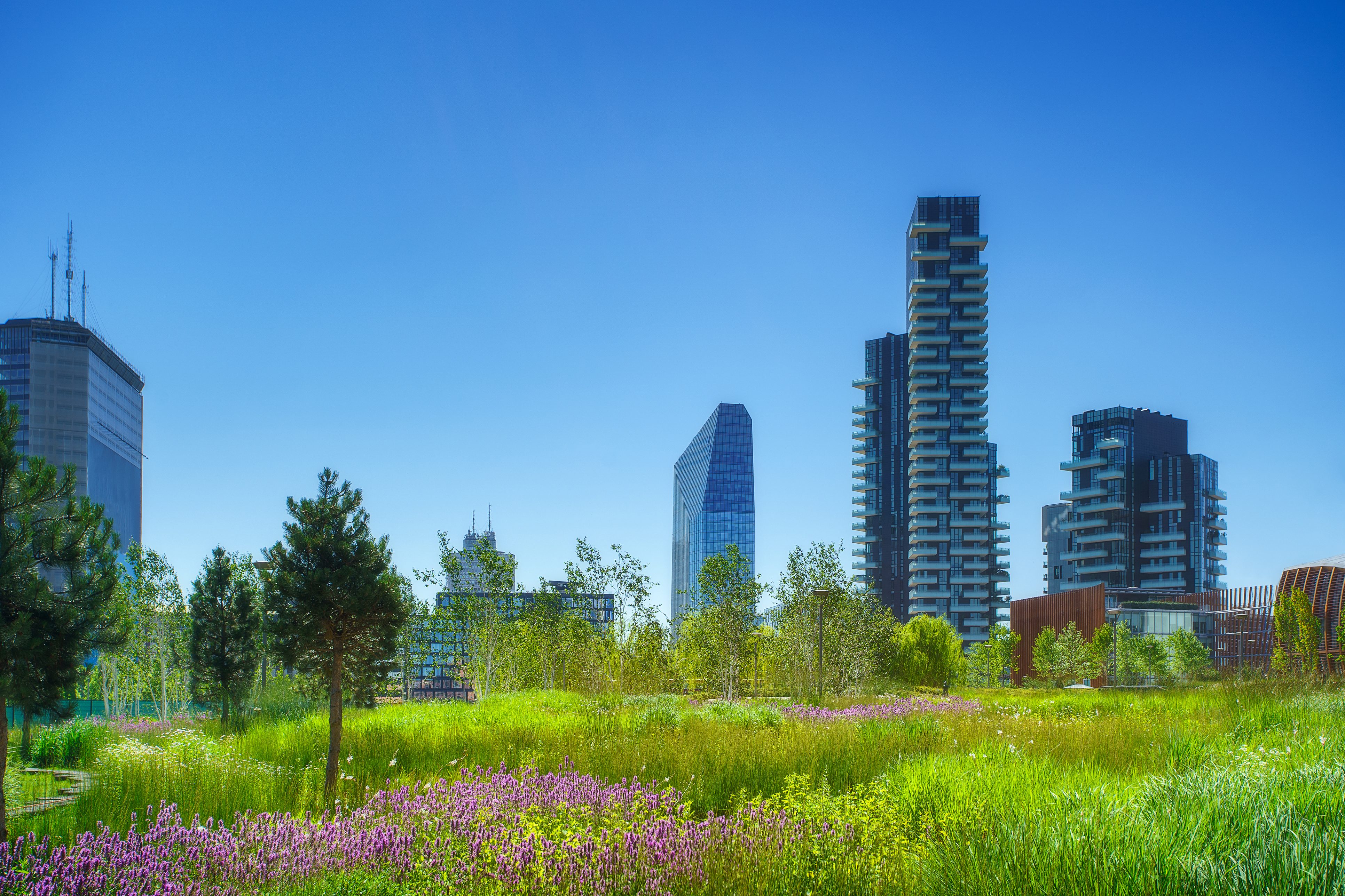 milano-2030-progetti-riforestazione-urbana-verde-piante-alberi-green-ambiente-aria-parchi-assessore-grandi-comune-milano