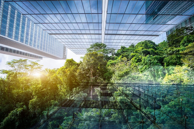 news-notizie-buone-positive-ultime-recenti-della-settimana-ambiente-sostenibilità-natura-green-mobilità