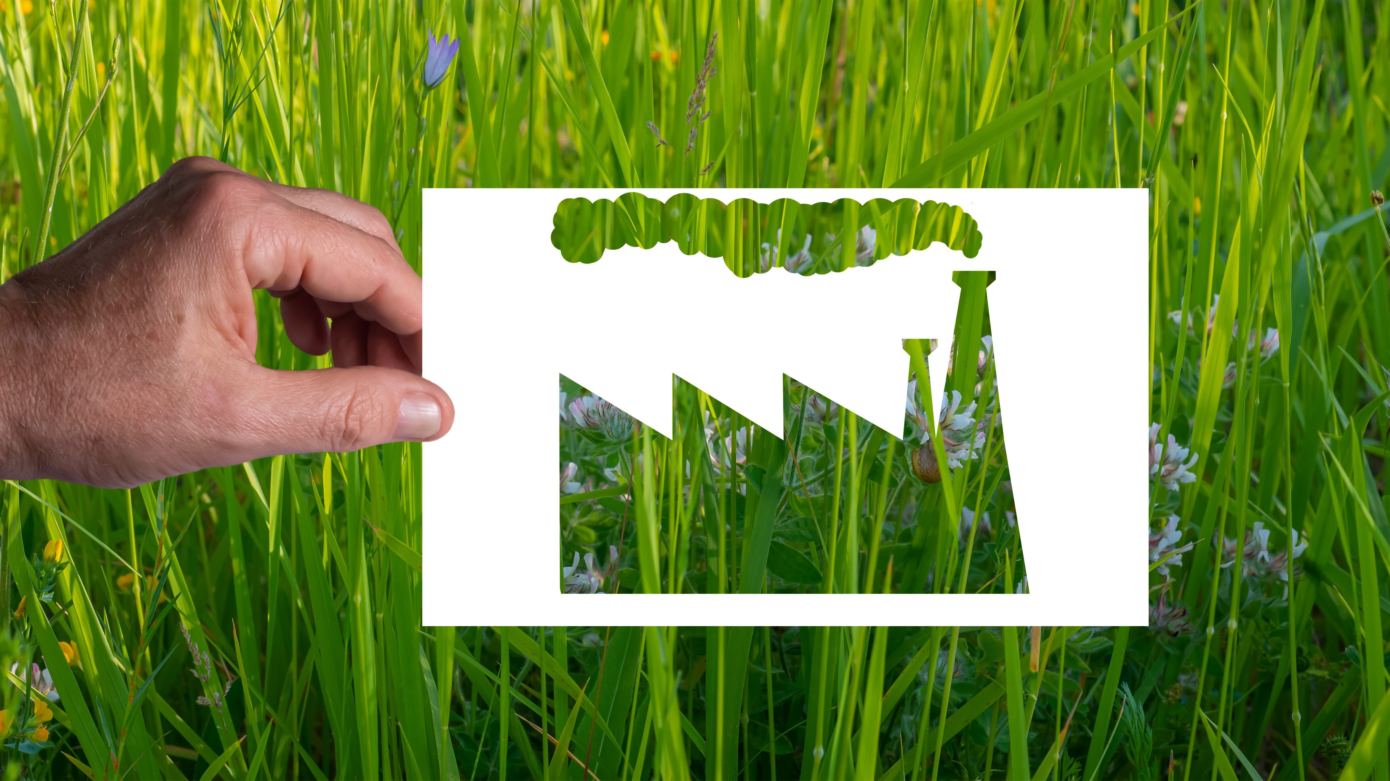 greenwashing-europa