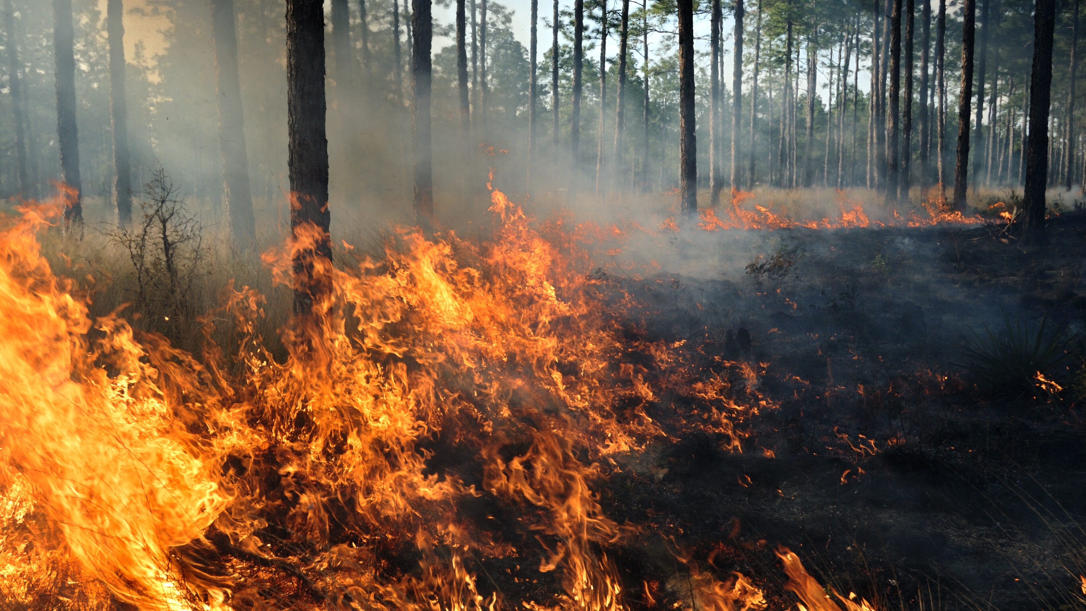 incendi