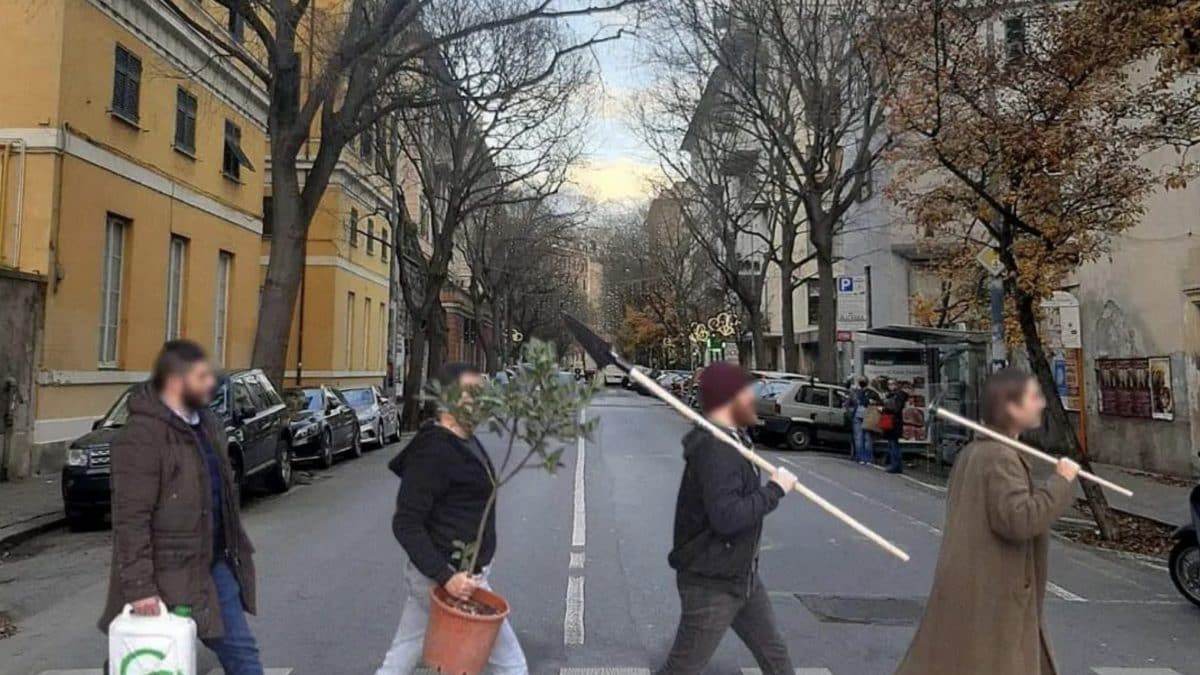 Immagine
