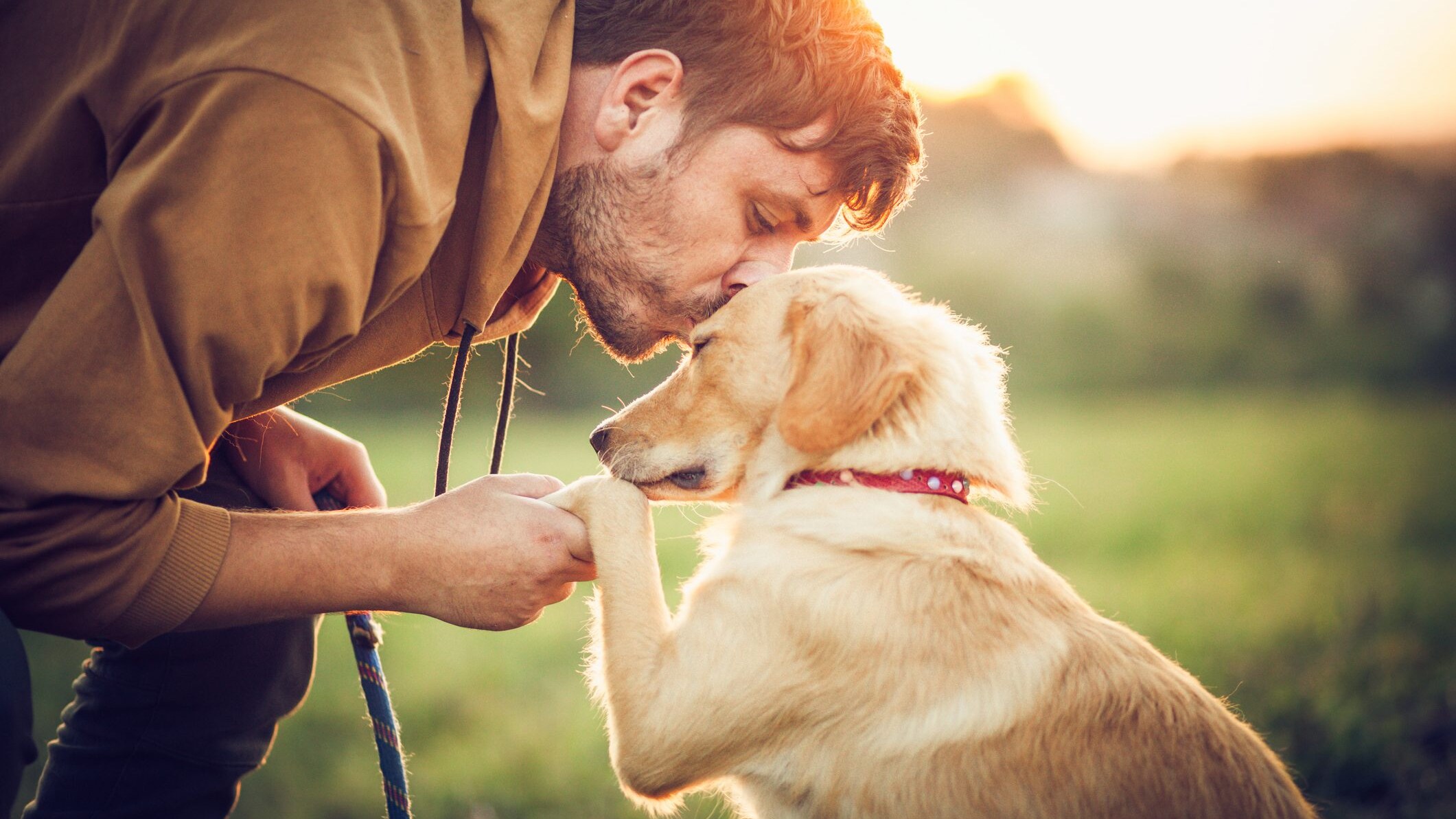 giornata mondiale del cane