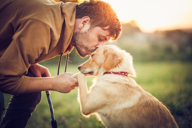 giornata mondiale del cane