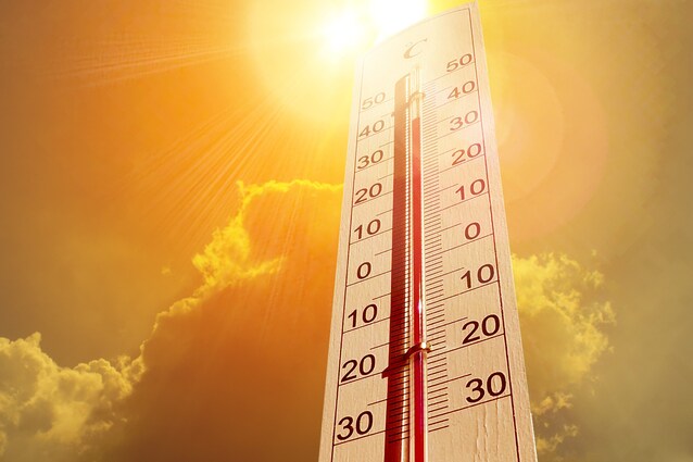 caldo