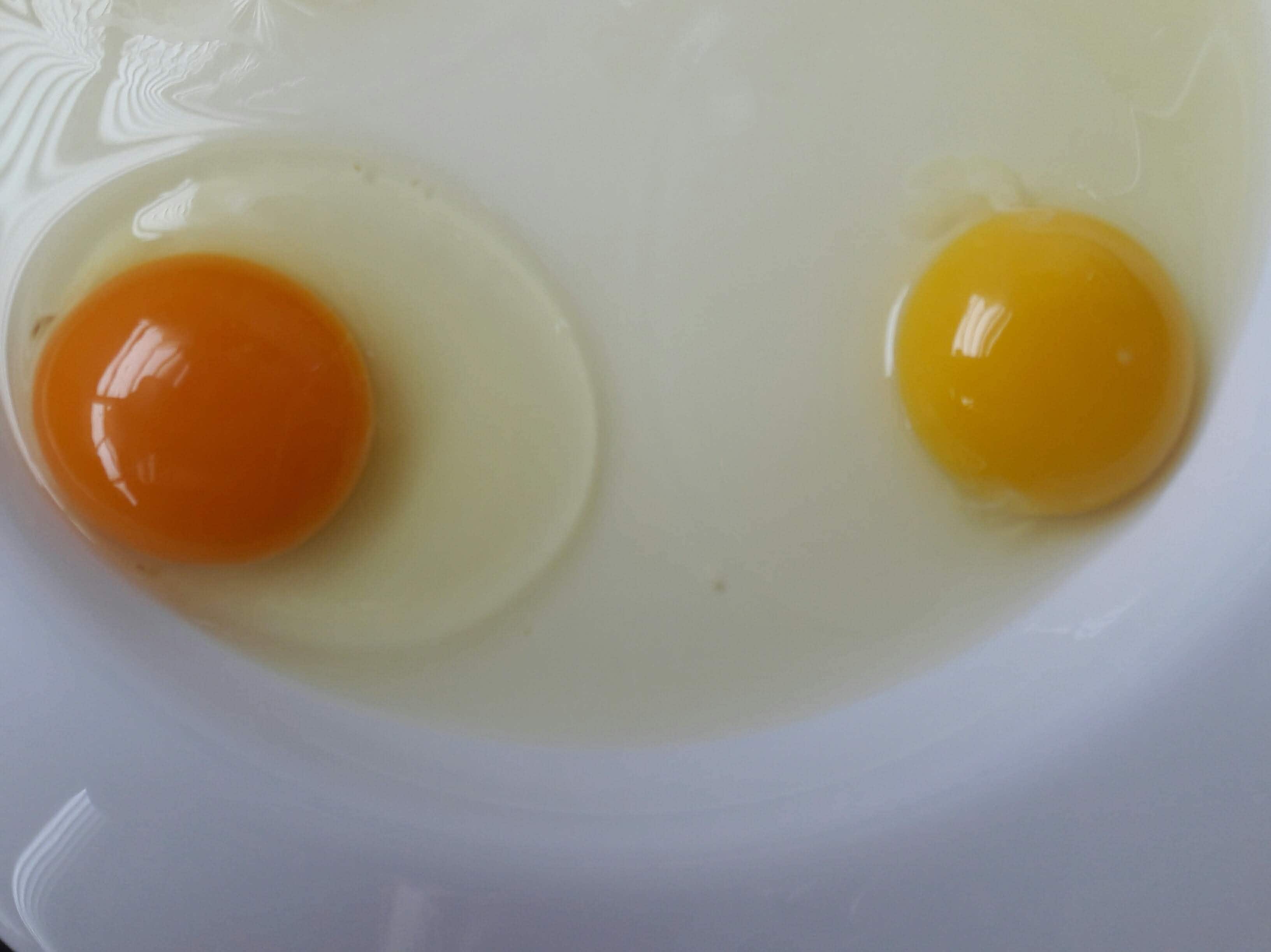 uovo con albume rappreso e tuorlo liquido Come riconoscere le uova fresche dal tuorlo