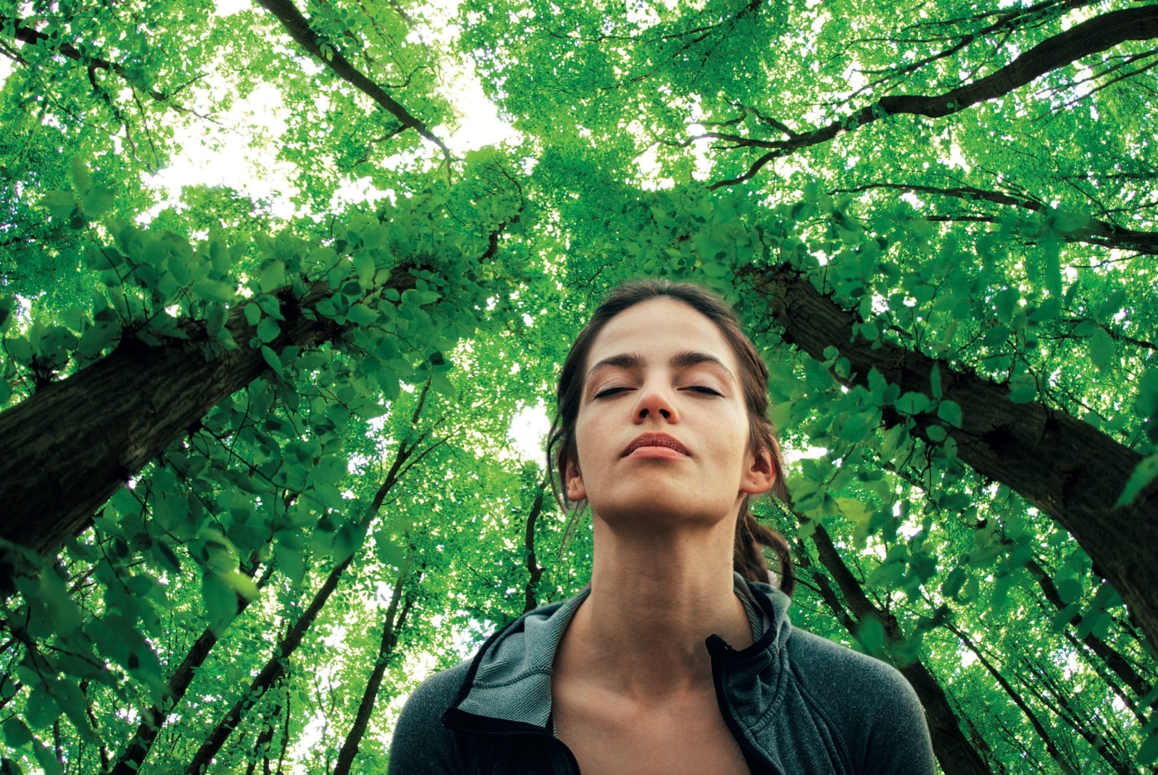 WWF apre le prime tre Oasi del respiro: cos'è il forest bathing e quali ...