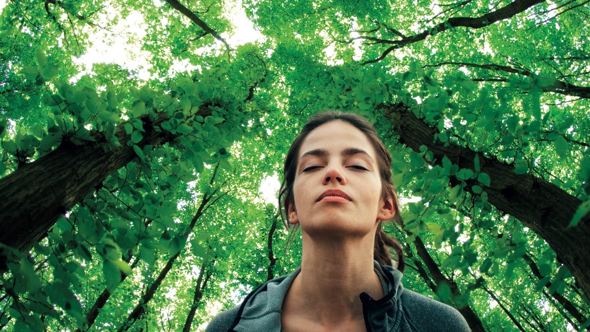 Forest Bathing cos'e