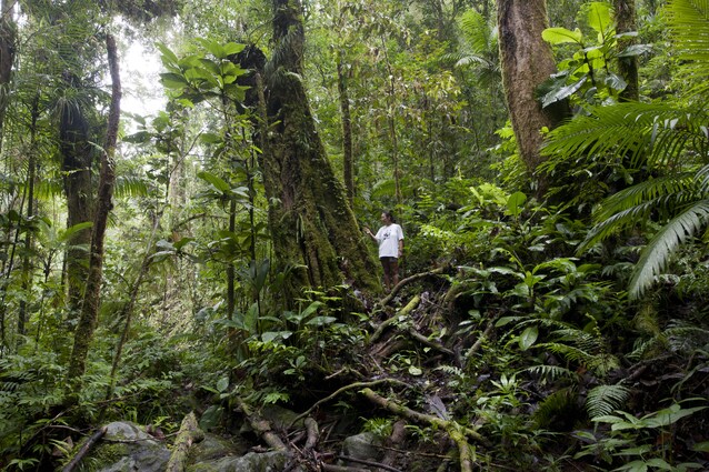 oasi del respiro WWF