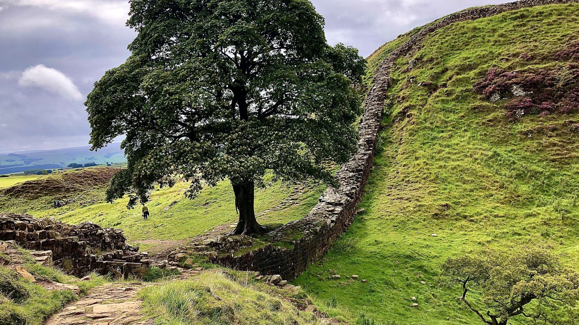 Sycamore Gap