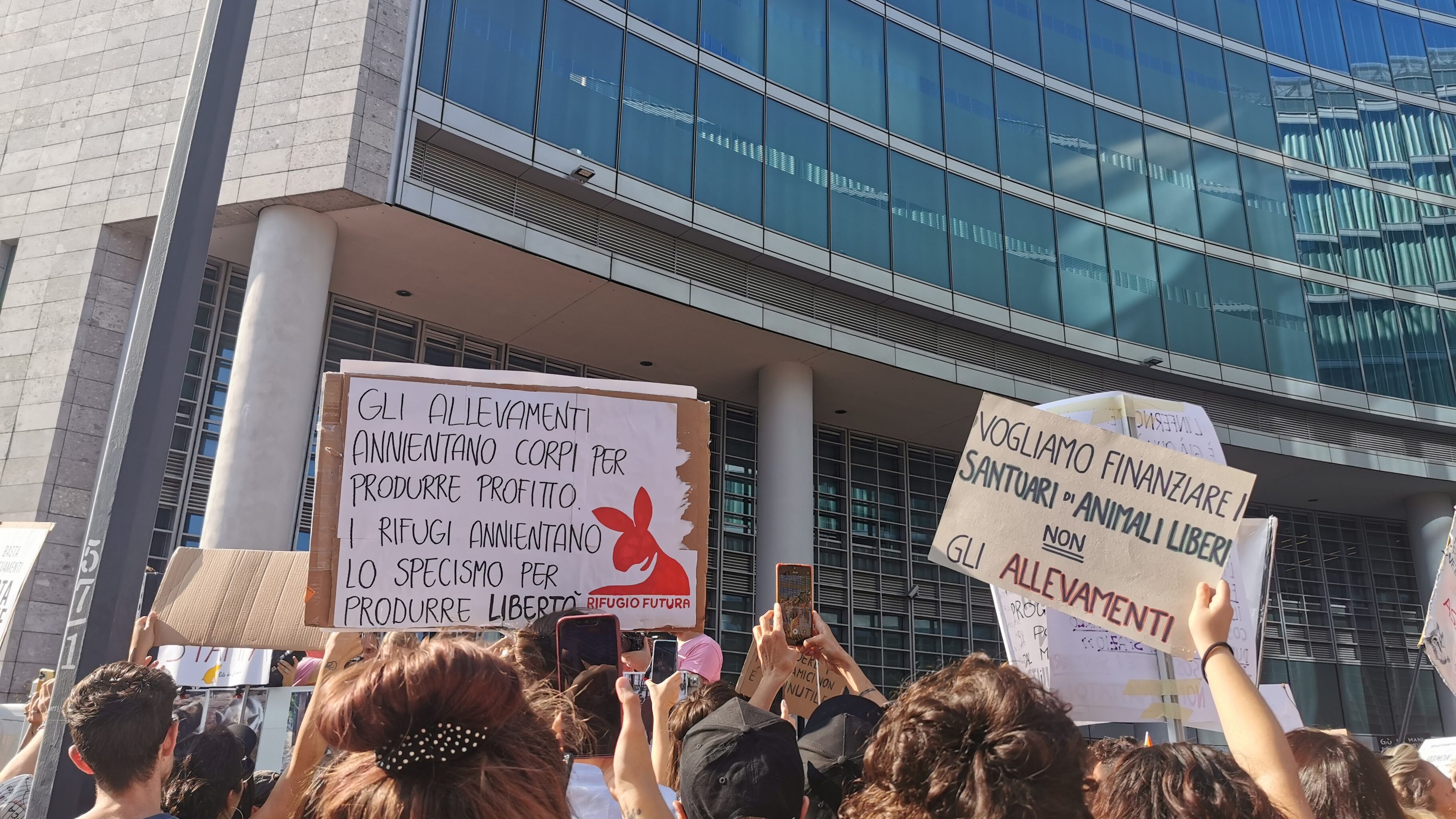 cuori liberi protesta