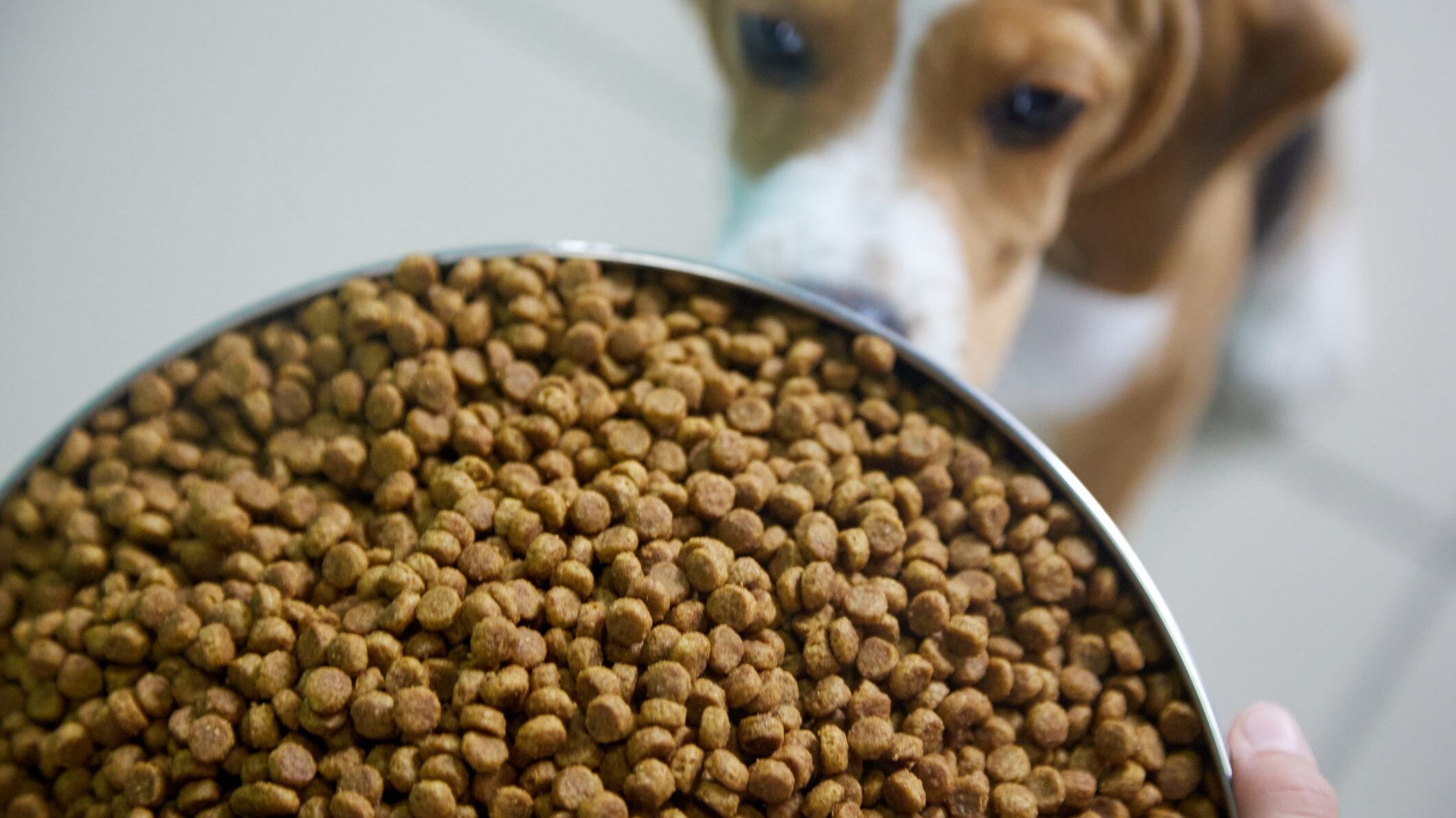 Etichetta bio petfood UE