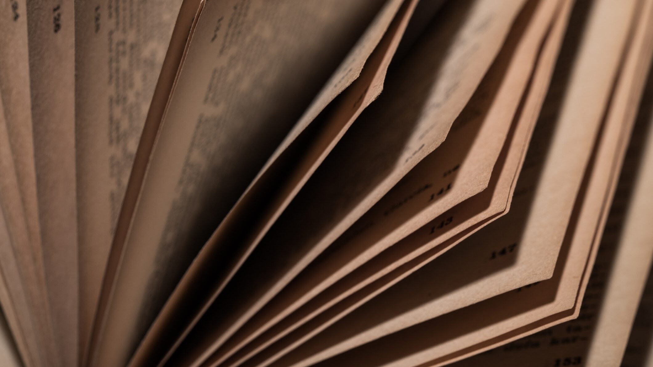 rose carta riciclo libri