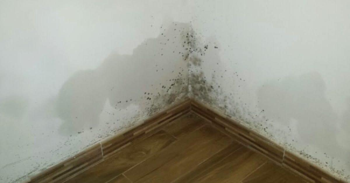 Testiera Connery in Bambù per Letto matrimoniale SKLUM 150 cm