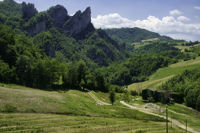 Immagine