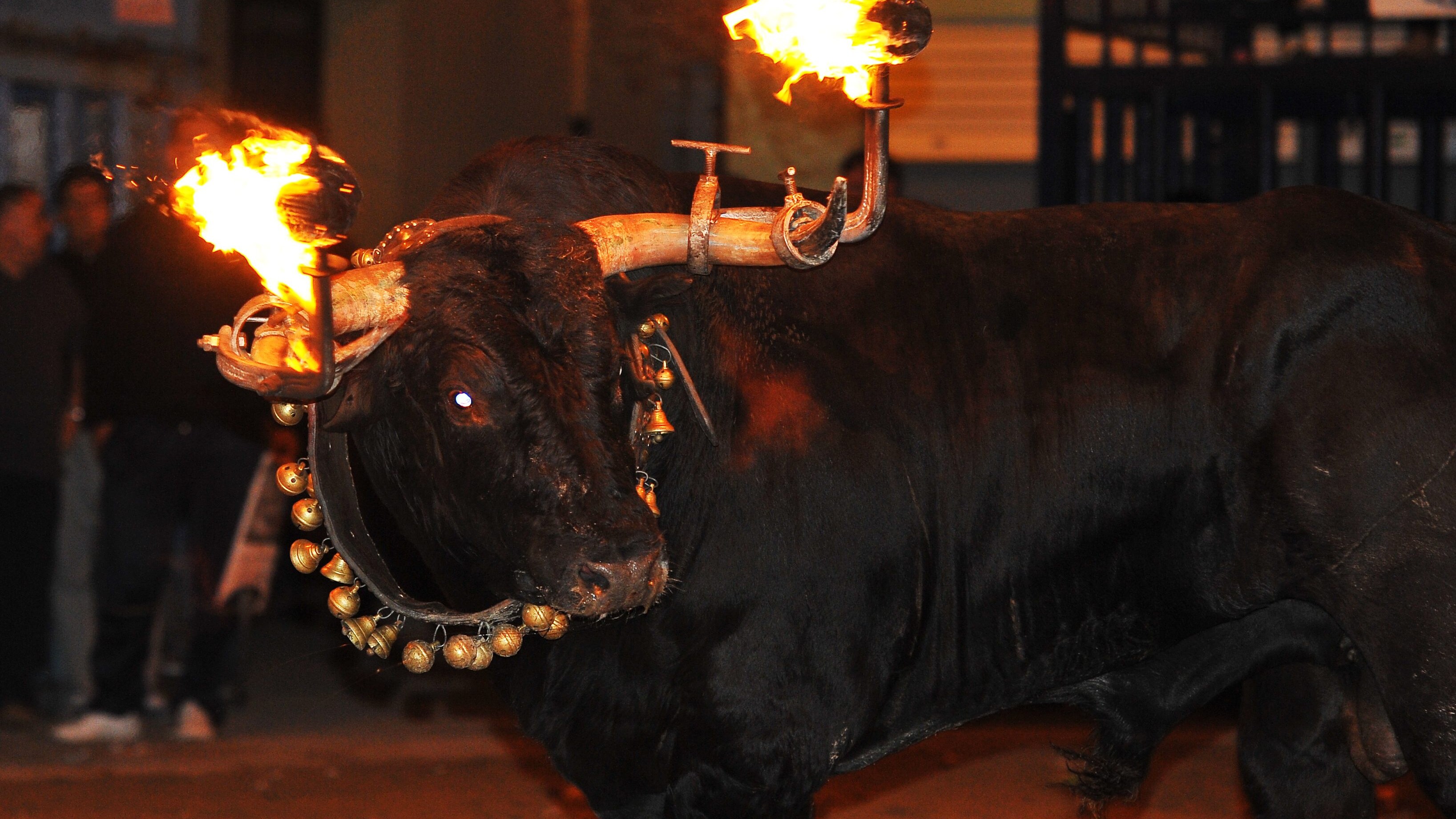 toro jubilo