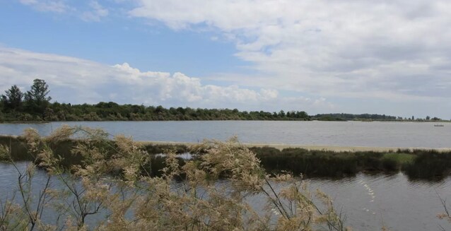Ramsar Convention