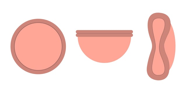 menstrual disc