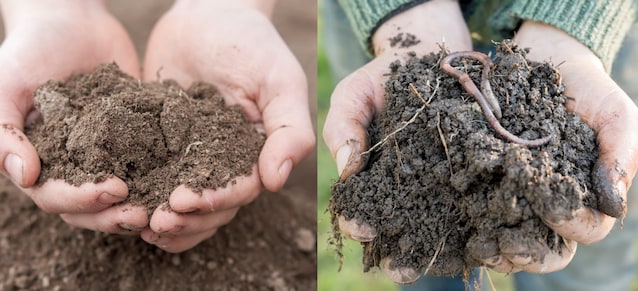 differenza-suolo-vivo-suolo-agricolo