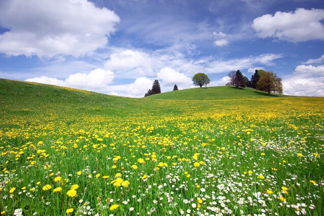festa primavera 2024